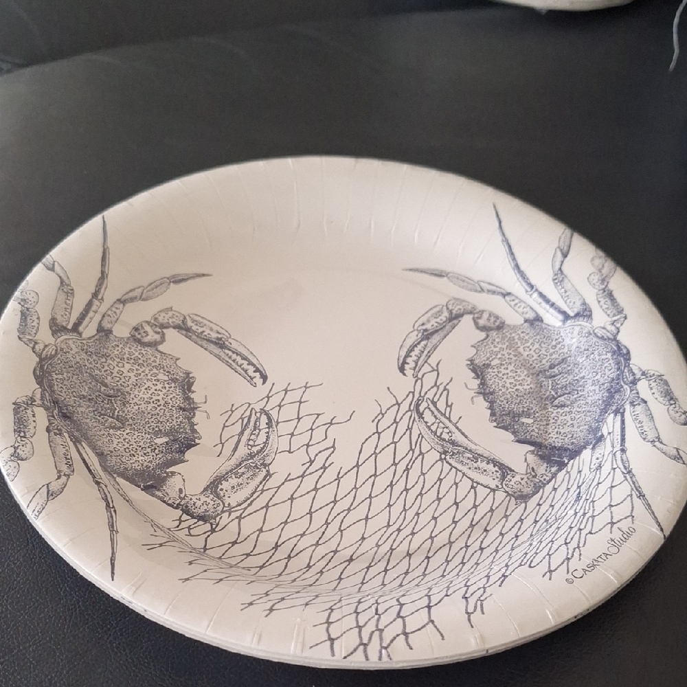 CASKATA Studio Dinner Plates